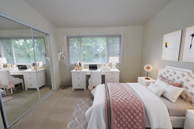 Photo - Windsor Forest