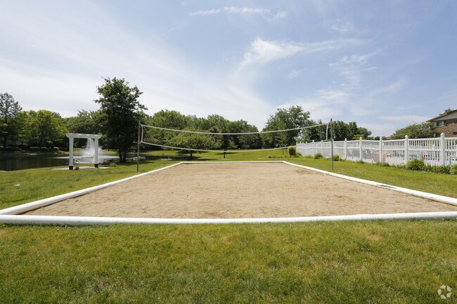 Volleyball Court