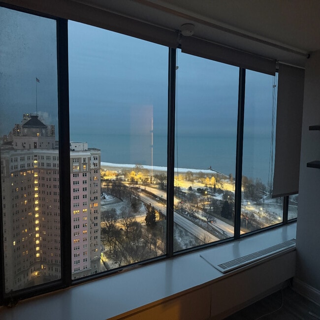 Building Photo - 5455 N Sheridan Rd Unit 2805