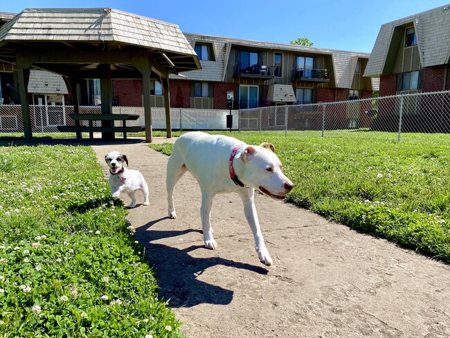 Doggy Park