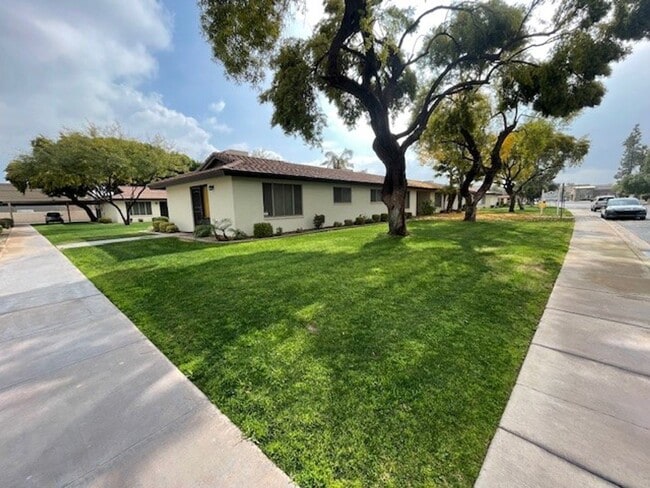 Photo - Beautiful Boutique Community