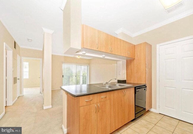 Photo - 19606 Galway Bay Circle Unit 401