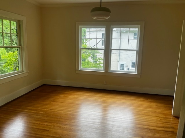 dinning room - 172 N Galt Ave (Louisville, KY)