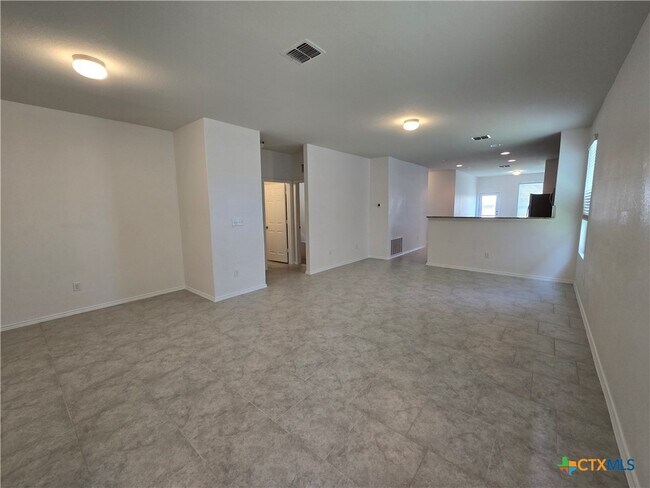 Photo - 334 Mistflower