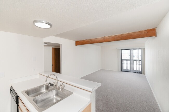 Bar & Living Area