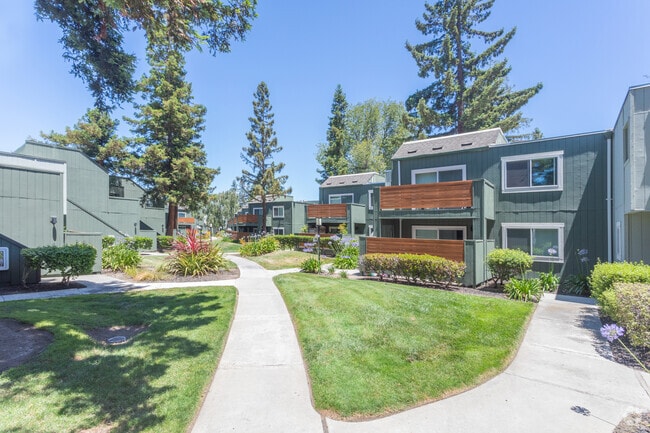 Evergreen Heights