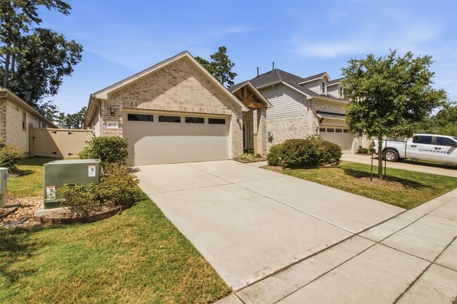 Photo - 40330 Bay Warbler Wy