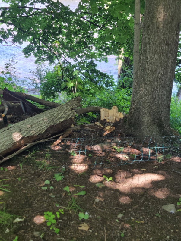 Photo - 700 Lawrence St Unit #1