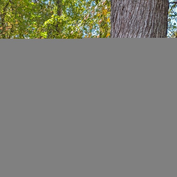 Primary Contact Photo