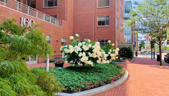 Photo - 160 Pleasant Street Apartments