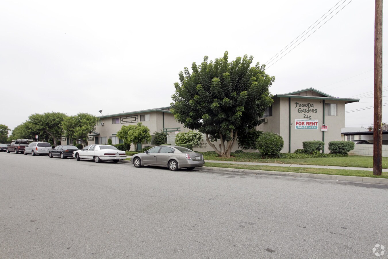 Photo - Pagoda Apartments