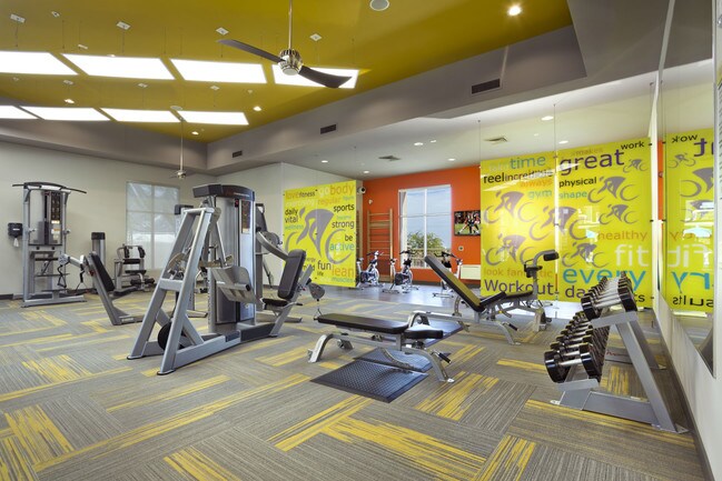 Gimnasio completamente equipado y estudio... - Avion on Legacy