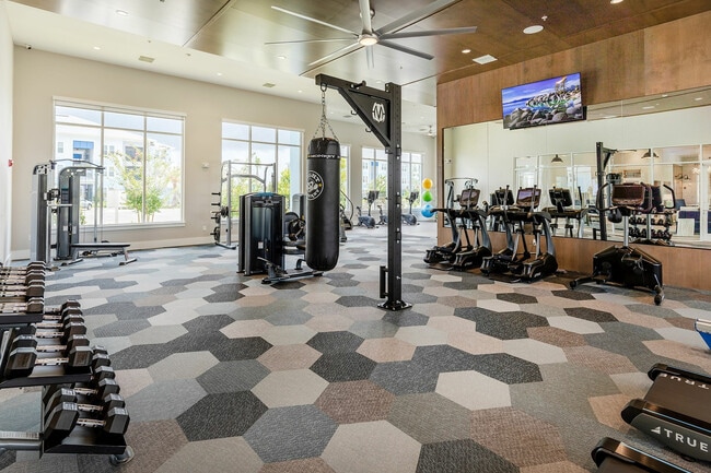 Photo - The Atlantic