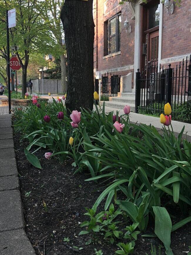 Photo - Woodlawn Commons