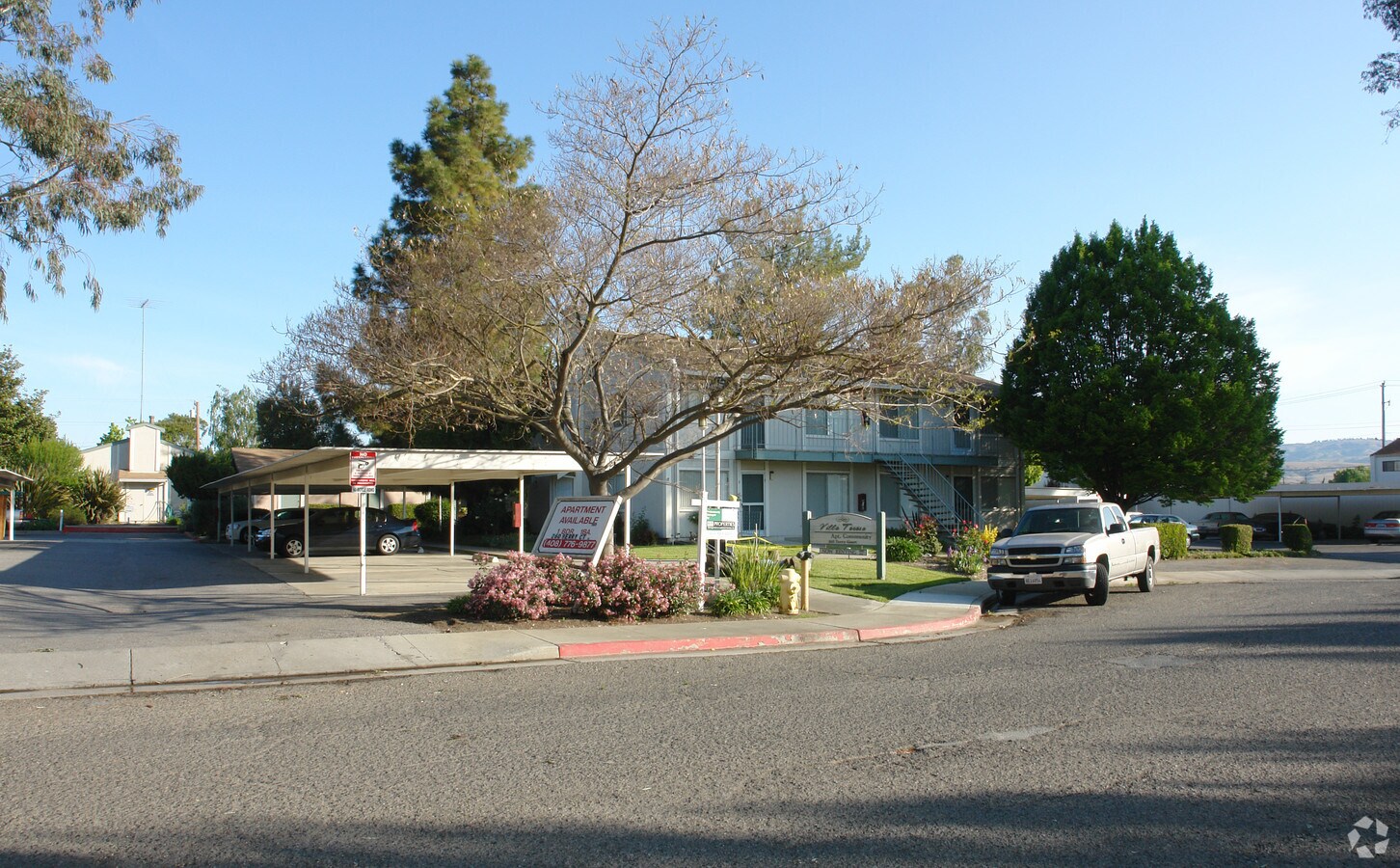 Berry Court Apartments - Berry Court Apartments