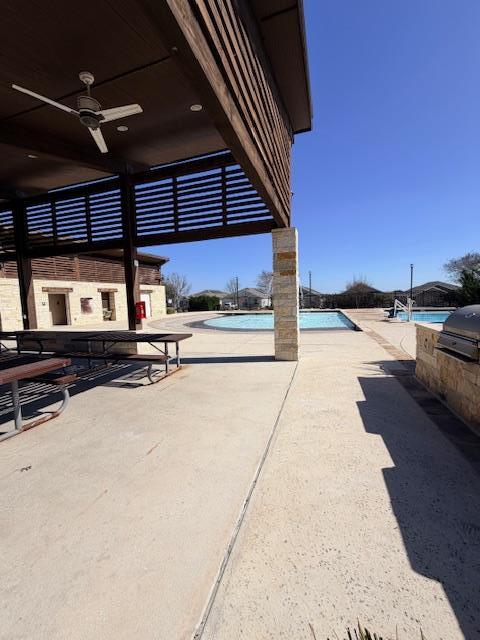 Photo - 1906 Wood Warbler