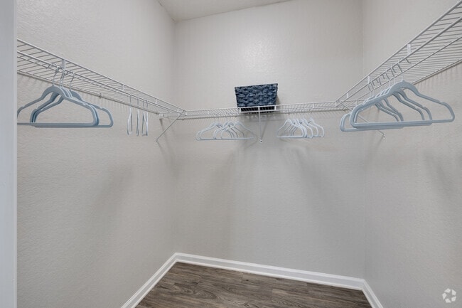 2BR, 2BA - 1,234SF - Primary Closet