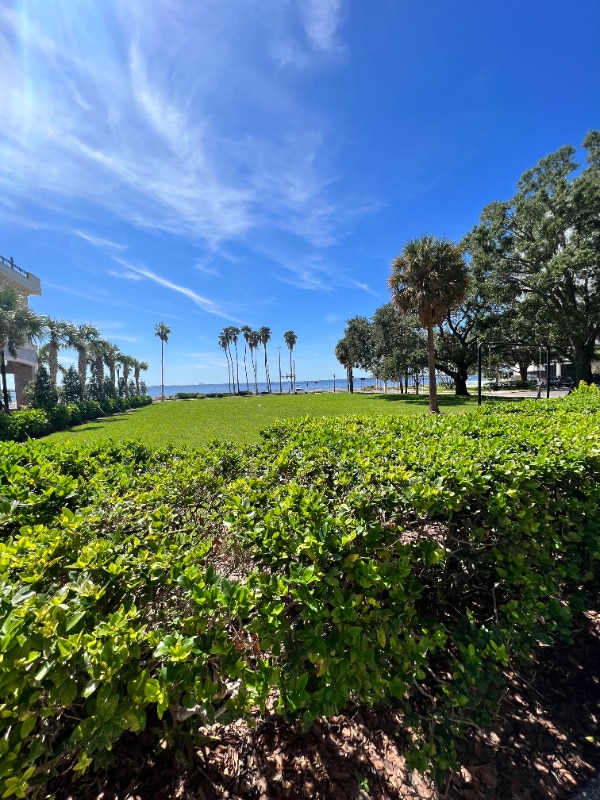 Photo - 2109 Bayshore Blvd Unit 506