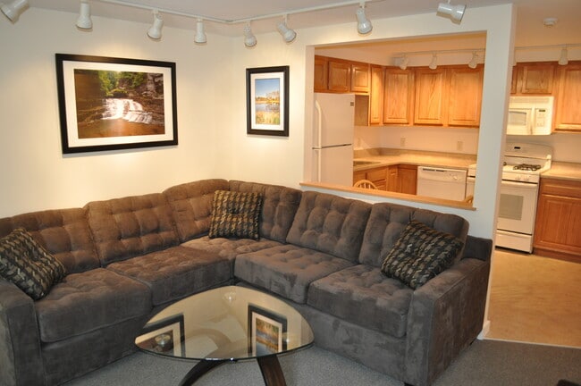 Photo - 203 Williams St