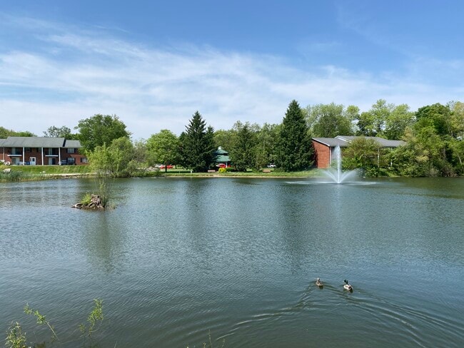 Beautiful Pond Oasis