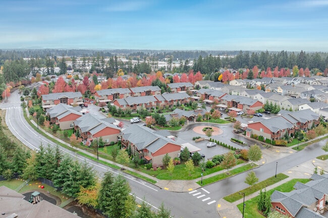 Aerial View - Olympus Court Apartments