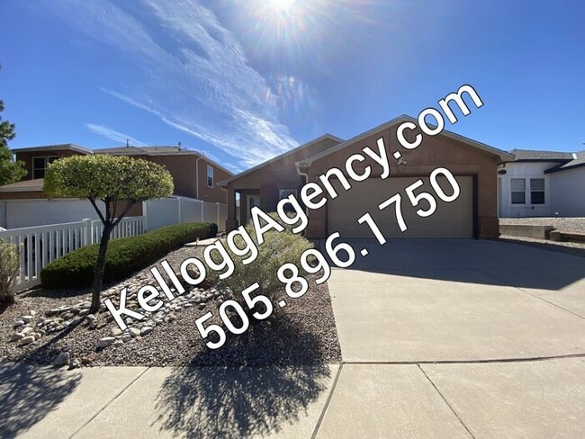 3 Bed Room - No Carpet - Landscaped - 3 Bed Room - No Carpet - Landscaped House