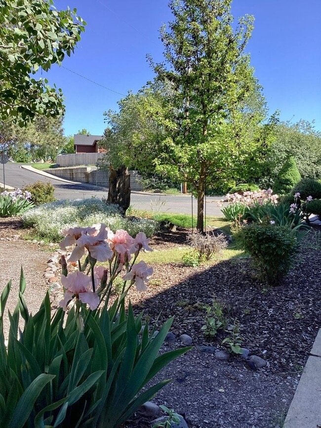 Photo - Cute 2 bed 1 bath apartment in nice neighb...