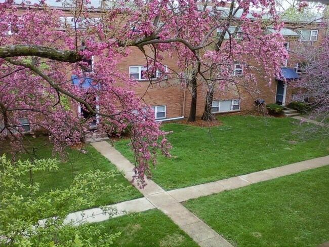 courtyard - 1826 N Star Rd Unit K
