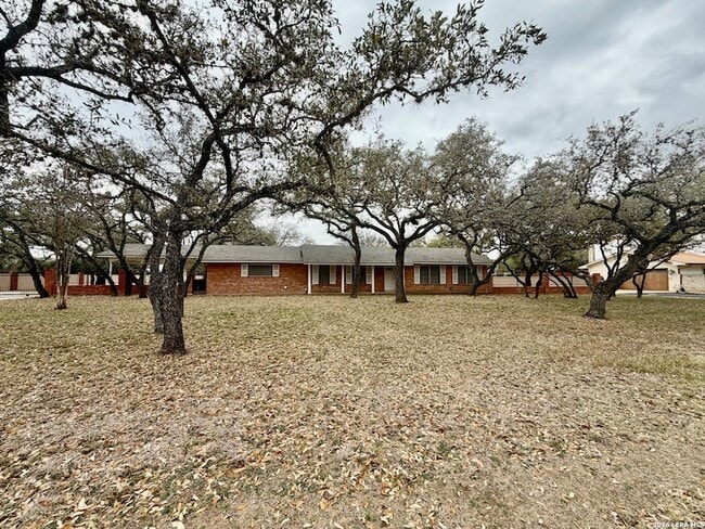 Photo - 115 Encino Grande St