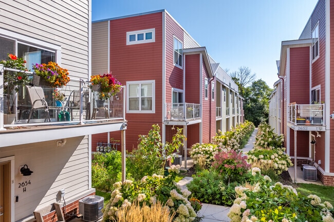 Row House 31