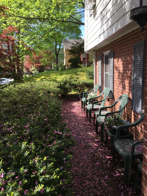 Photo - 61 Kirkwood Rd