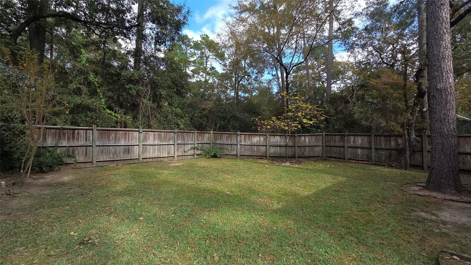 Photo - 54 Thorn Berry Pl