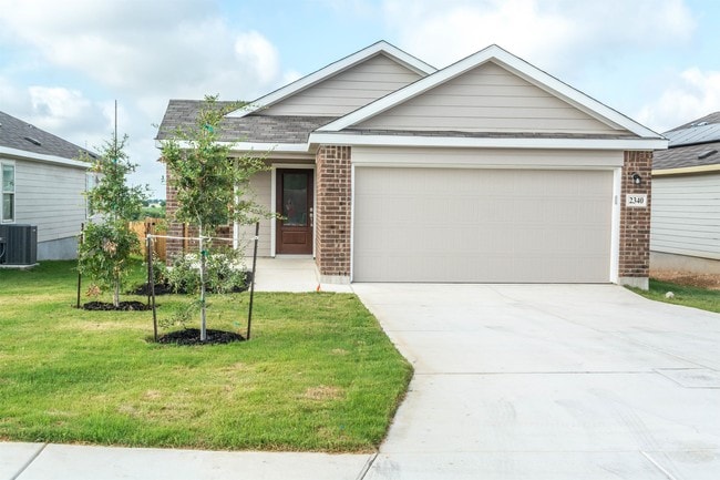 Photo - 2340 Arctic Warbler