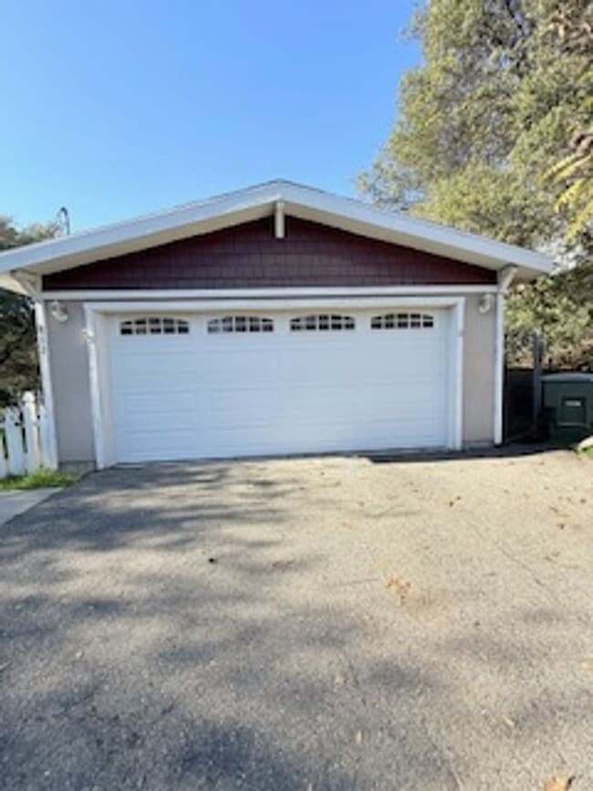 Photo - Auburn Cutie