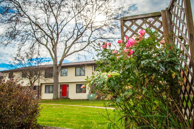 Circle Shore Apartments