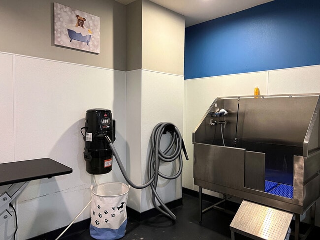 Dog Spa