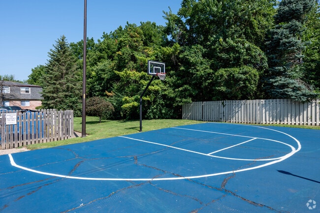 Basketball Court