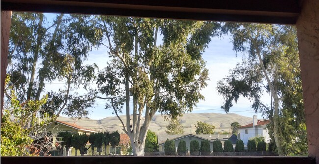 View from living room balcony - 440 Dempsey Rd Unidad 241 Rental