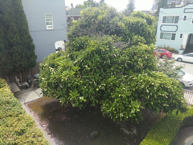 445 40th St Unidad 2