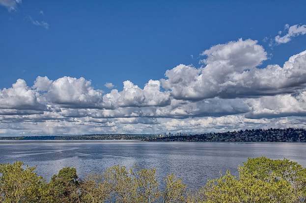 Building Photo - 3140 Lakewood Ave S Unit Beautiful Unique View Apartment!