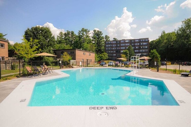 Photo - Forest Ridge