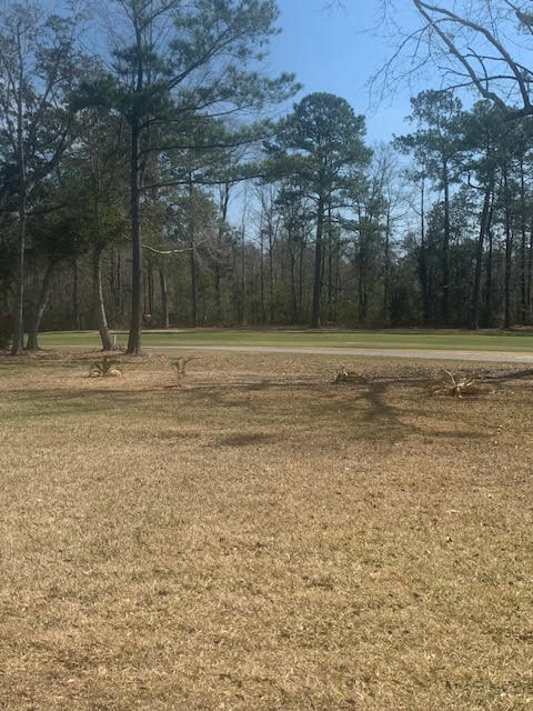 Photo - 6714 Alewa Pl