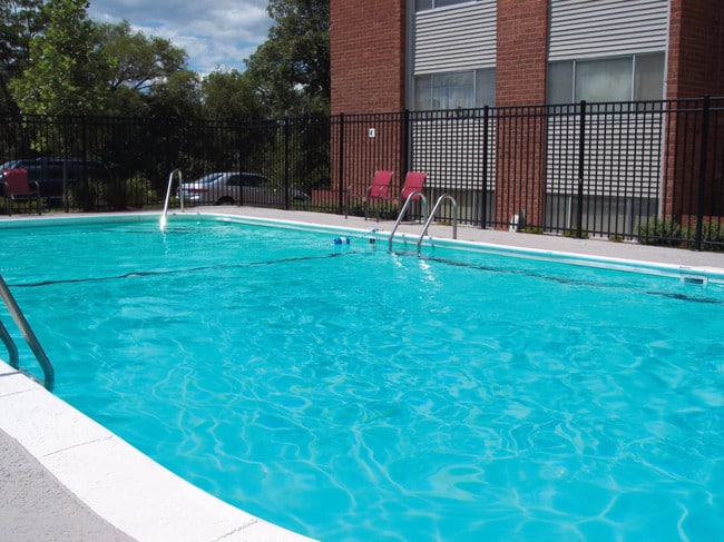 Pool for summer fun