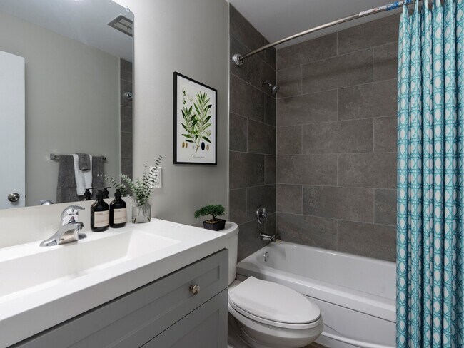 Photo - 29 Cartwright Street