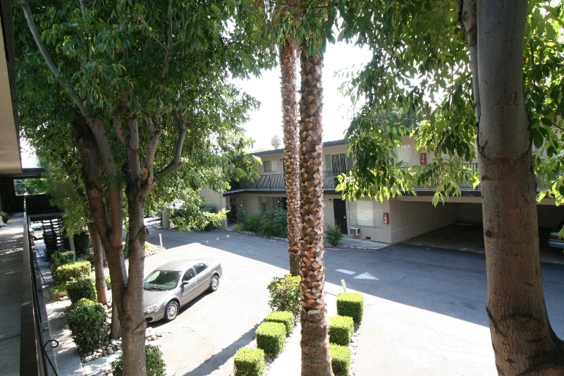 Homestead Apartments - Homestead Apartments
