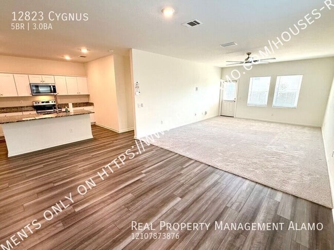 12823 Cygnus-