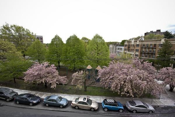 Photo - 117 Chiswick Rd Unidad 205