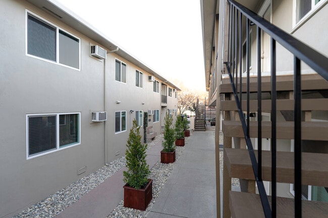 The Canopy - Courtyard