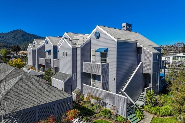 Primario - The Shores