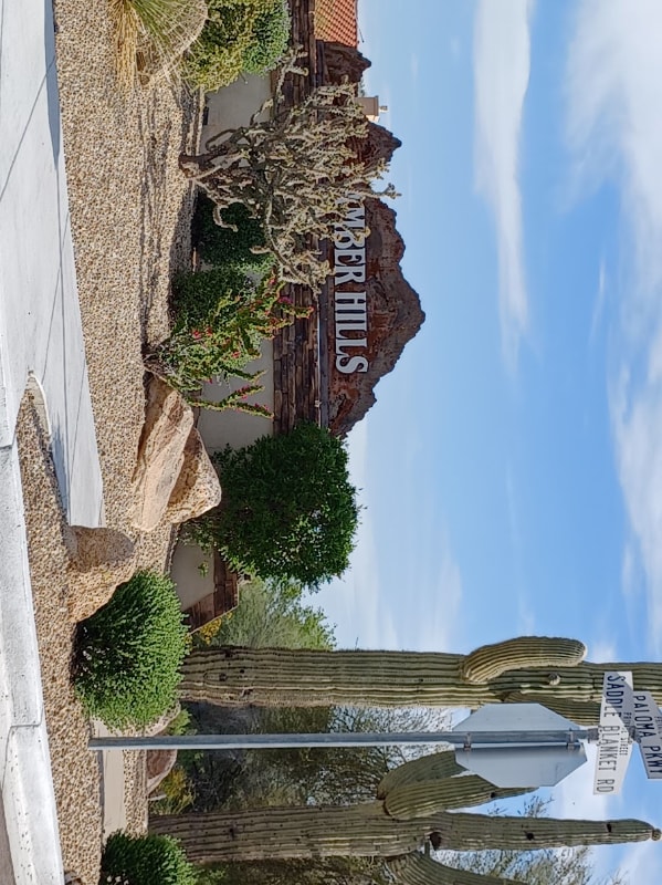 Building Photo - 2534 W Tumbleweed Dr